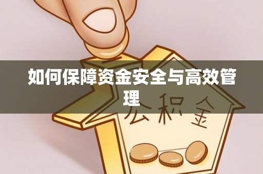 阿巴嘎旗如何保障资金安全与高效管理