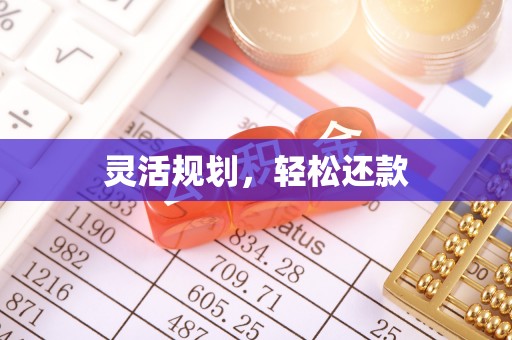 阿巴嘎旗灵活规划，轻松还款
