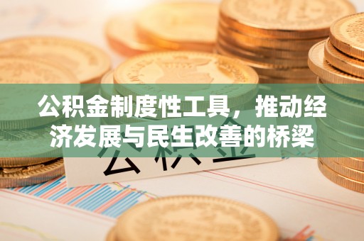 阿巴嘎旗公积金制度性工具，推动经济发展与民生改善的桥梁