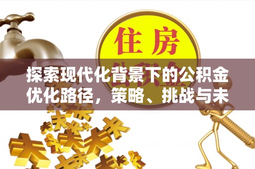 阿巴嘎旗探索现代化背景下的公积金优化路径，策略、挑战与未来展望