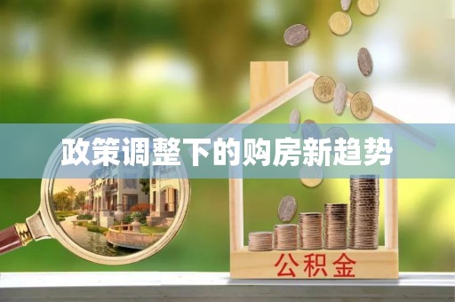 阿巴嘎旗政策调整下的购房新趋势