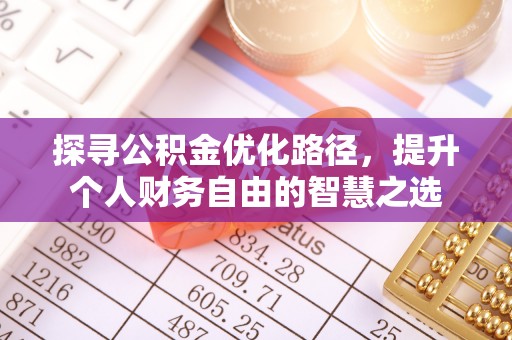 阿巴嘎旗探寻公积金优化路径，提升个人财务自由的智慧之选