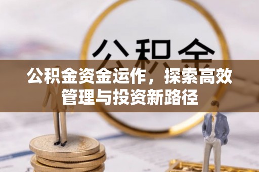 阿巴嘎旗公积金资金运作，探索高效管理与投资新路径