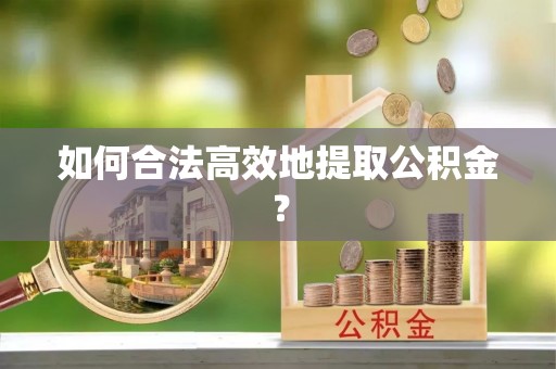 阿巴嘎旗如何合法高效地提取公积金？